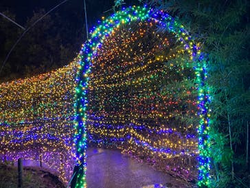 伊豆ぐらんぱる公園に投稿された画像（2023/8/11）