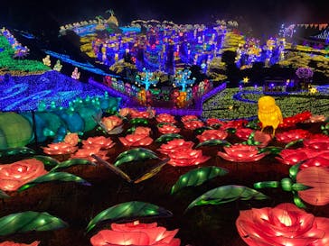 伊豆ぐらんぱる公園に投稿された画像（2023/8/11）