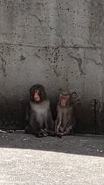 宇都宮動物園に投稿された画像（2023/8/11）
