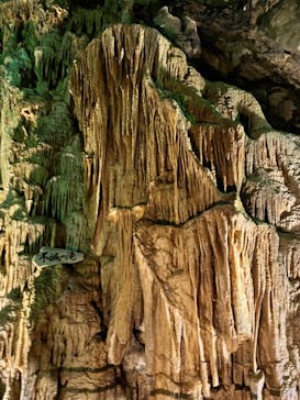 あぶくま洞に投稿された画像（2023/8/11）