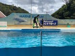 下田海中水族館に投稿された画像（2023/8/11）