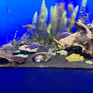 サンシャイン水族館に投稿された画像（2023/8/11）