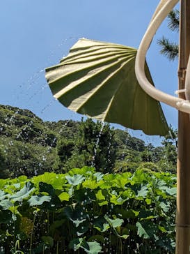 三溪園に投稿された画像（2023/8/11）