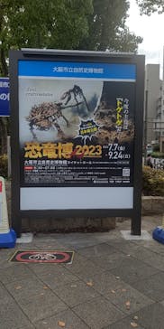 大阪市立自然史博物館に投稿された画像（2023/8/11）