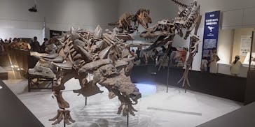 大阪市立自然史博物館に投稿された画像（2023/8/11）