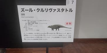 大阪市立自然史博物館に投稿された画像（2023/8/11）