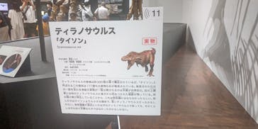 大阪市立自然史博物館に投稿された画像（2023/8/11）