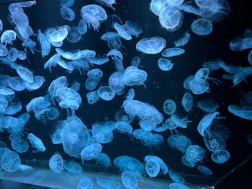 AOAO SAPPOROに投稿された画像（2023/8/11）