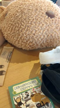 伊豆シャボテン動物公園に投稿された画像（2023/8/11）