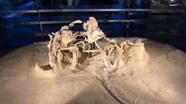 福井県立恐竜博物館に投稿された画像（2023/8/11）