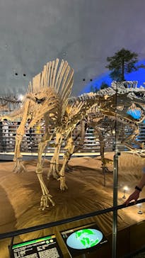 福井県立恐竜博物館に投稿された画像（2023/8/11）