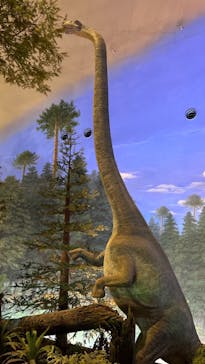 福井県立恐竜博物館に投稿された画像（2023/8/11）