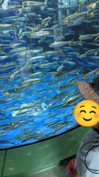 アクアワールド茨城県大洗水族館に投稿された画像（2023/8/11）