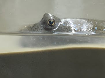 AOAO SAPPOROに投稿された画像（2023/8/11）