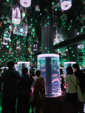 マクセル アクアパーク品川に投稿された画像（2023/8/11）