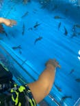 越前松島水族館に投稿された画像（2023/8/11）
