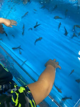 越前松島水族館に投稿された画像（2023/8/11）