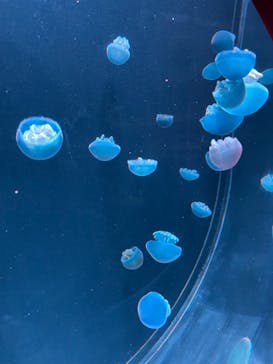 AOAO SAPPOROに投稿された画像（2023/8/11）