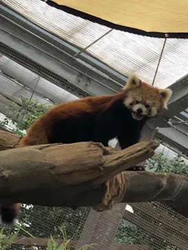 神戸どうぶつ王国に投稿された画像（2023/8/11）