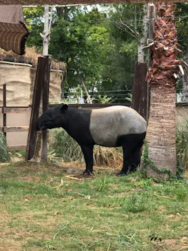 神戸どうぶつ王国に投稿された画像（2023/8/11）