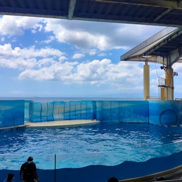 新江ノ島水族館に投稿された画像（2023/8/11）