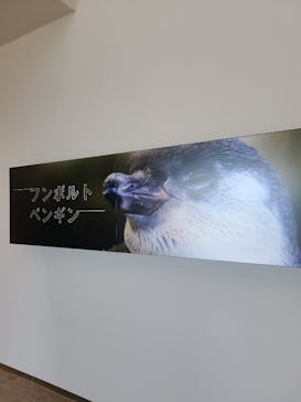 城崎マリンワールドに投稿された画像（2023/8/11）