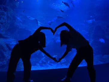 京都水族館に投稿された画像（2023/8/11）