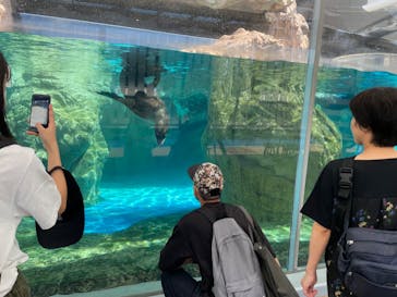 京都水族館に投稿された画像（2023/8/11）