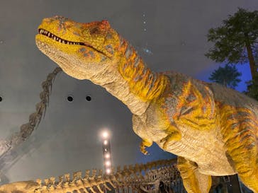 福井県立恐竜博物館に投稿された画像（2023/8/11）