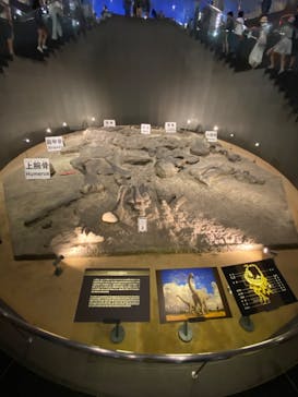 福井県立恐竜博物館に投稿された画像（2023/8/11）