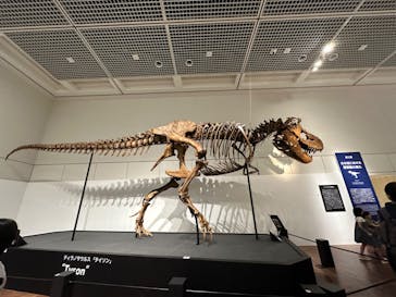 大阪市立自然史博物館に投稿された画像（2023/8/11）