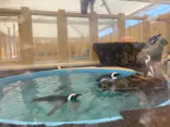 名古屋港水族館に投稿された画像（2023/8/11）