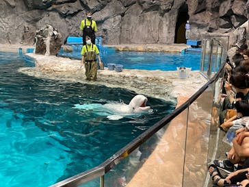 名古屋港水族館に投稿された画像（2023/8/11）