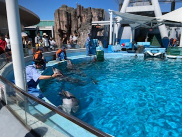 名古屋港水族館に投稿された画像（2023/8/11）