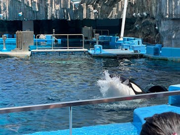 名古屋港水族館に投稿された画像（2023/8/11）
