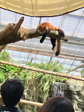 神戸どうぶつ王国に投稿された画像（2023/8/11）