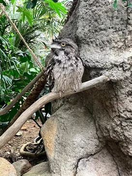 神戸どうぶつ王国に投稿された画像（2023/8/11）