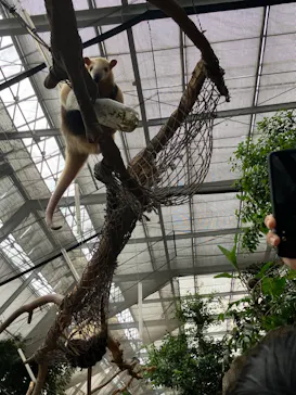 神戸どうぶつ王国に投稿された画像（2023/8/11）