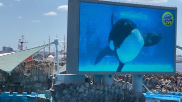 名古屋港水族館に投稿された画像（2023/8/11）