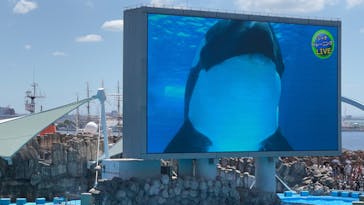名古屋港水族館に投稿された画像（2023/8/11）