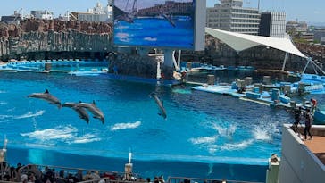名古屋港水族館に投稿された画像（2023/8/11）