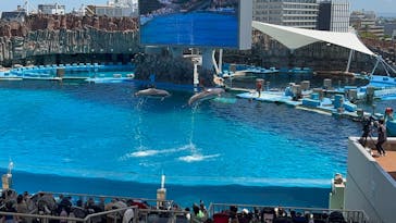 名古屋港水族館に投稿された画像（2023/8/11）