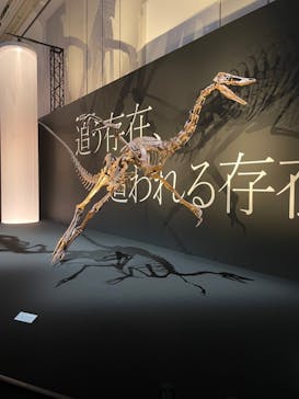 DinoScience 恐竜科学博 2023@TOKYO MIDTOWNに投稿された画像（2023/8/11）