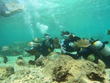 沖縄マリンサービス碧に投稿された画像（2023/8/11）