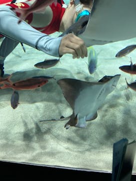 サンシャイン水族館に投稿された画像（2023/8/11）