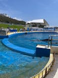 沖縄美ら海水族館に投稿された画像（2023/8/11）