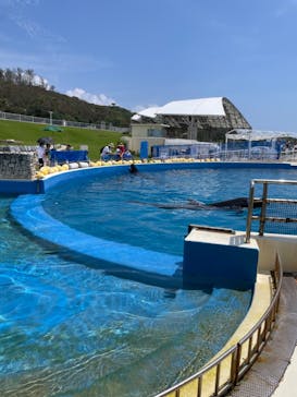 沖縄美ら海水族館に投稿された画像（2023/8/11）