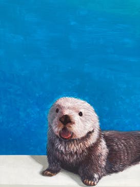 マリンワールド海の中道に投稿された画像（2023/8/11）