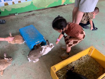 那須サファリパークに投稿された画像（2023/8/11）