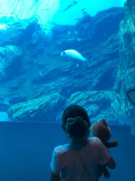 仙台うみの杜水族館に投稿された画像（2023/8/11）